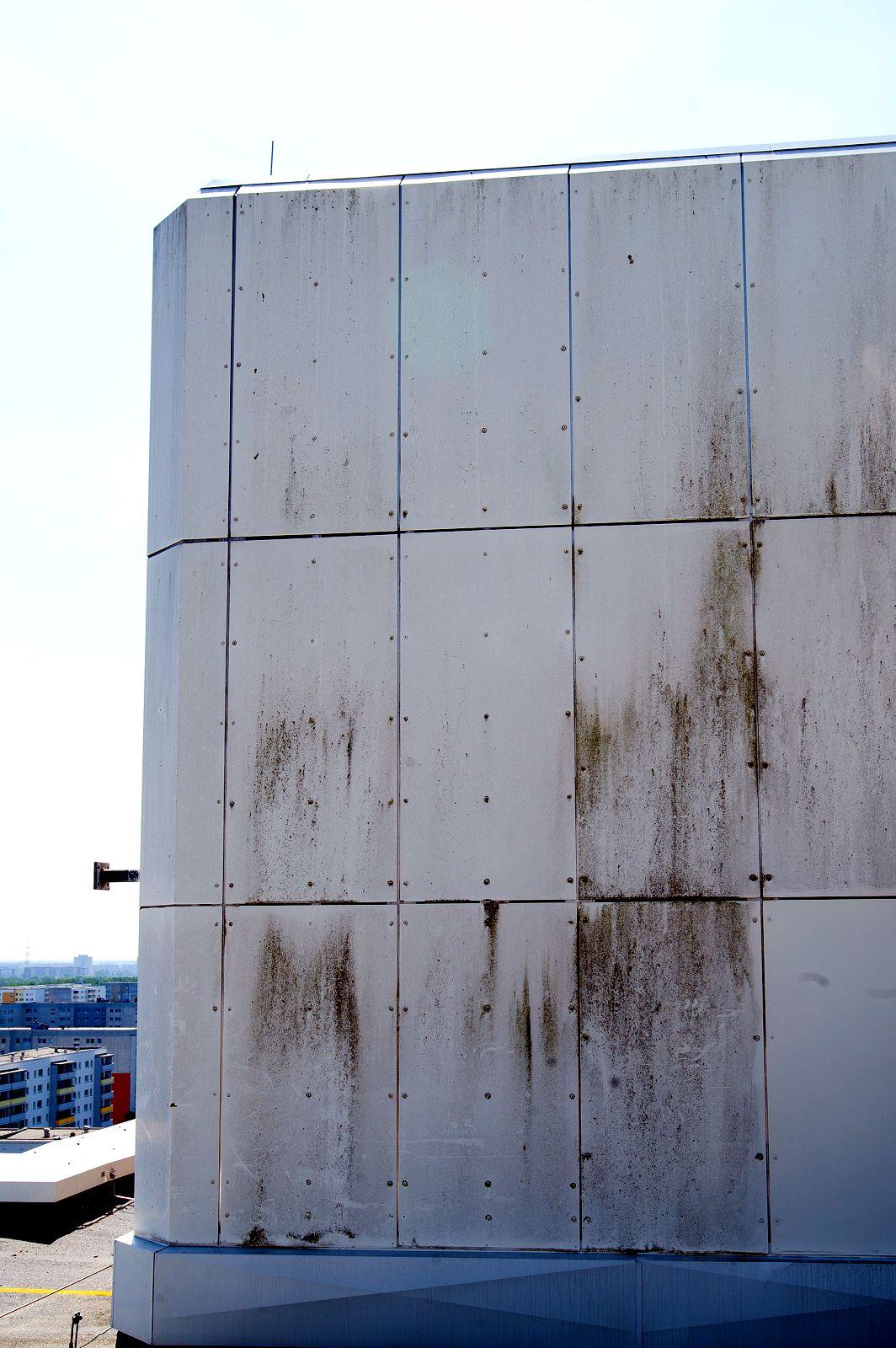 Fassade mit Algen- und Schmutzstreifen vor der Reinigung