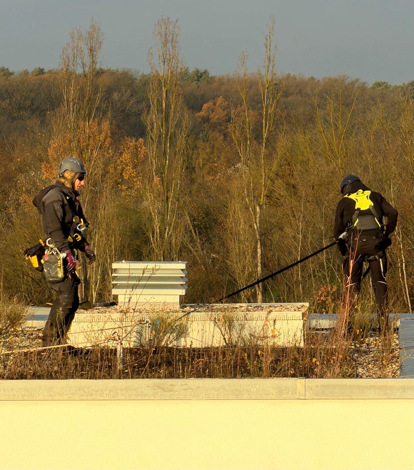 Zwei Höhenarbeiter auf einem Flachdach, Fremdsicherung und Aufsicht bei Arbeiten in der Höhe